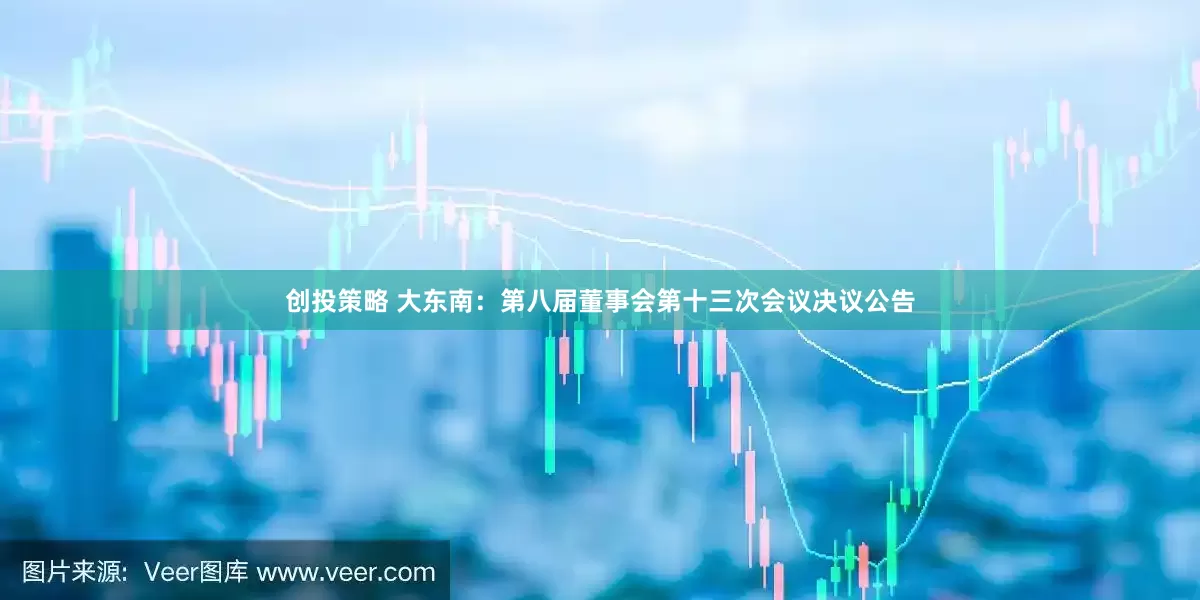 创投策略 大东南：第八届董事会第十三次会议决议公告