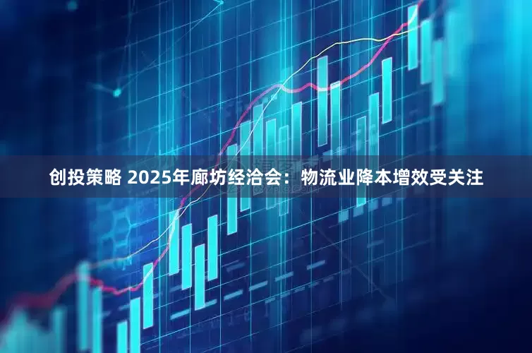 创投策略 2025年廊坊经洽会：物流业降本增效受关注